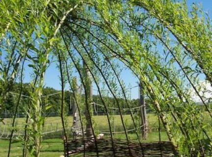 Spielhäuser aus Holz und Weiden an Kindergarten und Schule