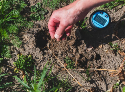 230909 Emscher Allmende Acker Bodenproben Workshop Achilles DSC 7227 5