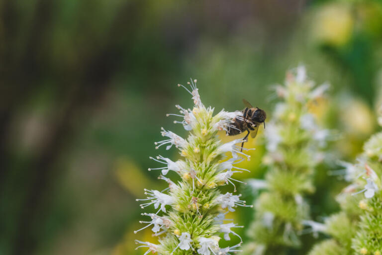 230510 Acker mit David Ernten Achilles DSF0639 71